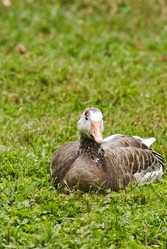 Similar image 1001594