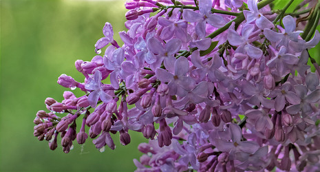 Similar image 1001632