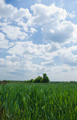 Similar image 1001722