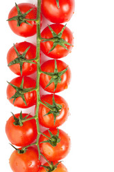 Similar image 1001848