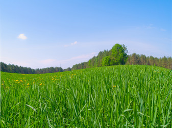 Similar image 1001850