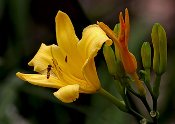 Similar image 1002083