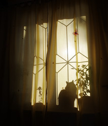 Similar image 1002257