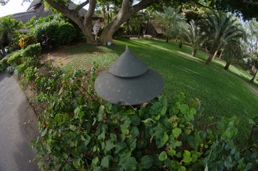 Similar image 1002366