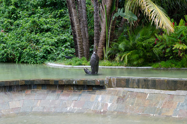 Similar image 1002370