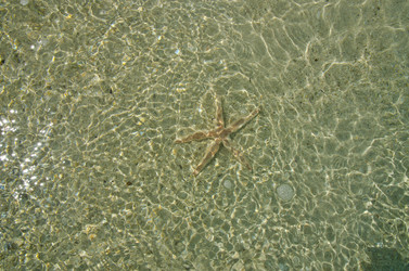 Similar image 1002377