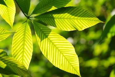 Similar image 1002379