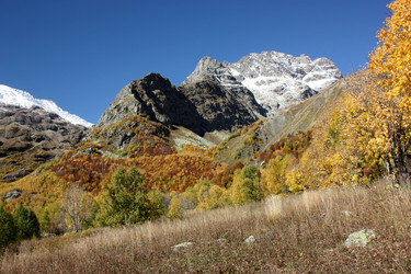 Similar image 1002734