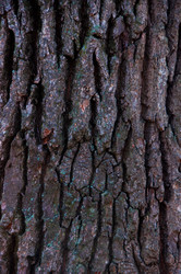 Similar image 1002946