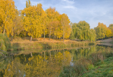 Similar image 1002978