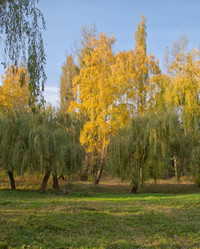 Similar image 1002983