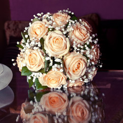 Similar image 1003007