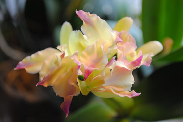 Similar image 1003035