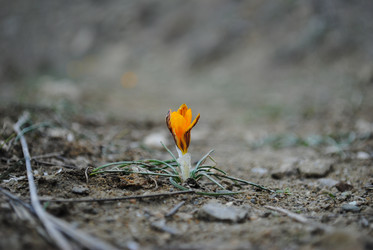 Similar image 1003038