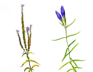 Similar image 1003041