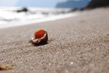 Similar image 1003048