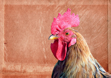 Similar image 1003050