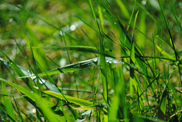 Similar image 1003055