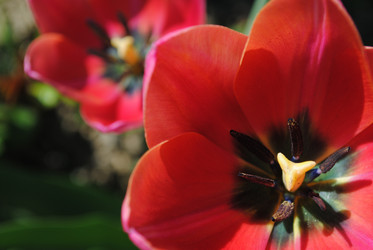 Similar image 1003060