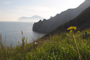 Similar image 1003062