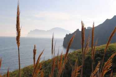 Similar image 1003066