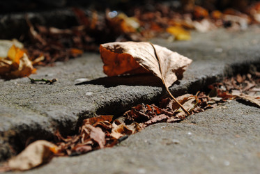 Similar image 1003071