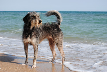 Similar image 1003081