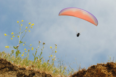 Similar image 1003087