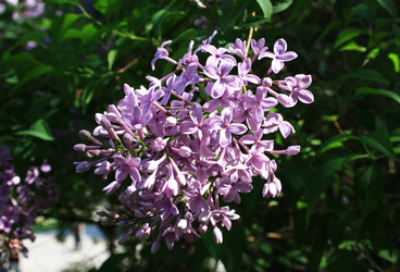 Similar image 1003093