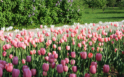 Similar image 1003135