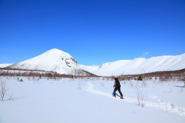 Similar image 1003343