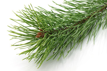 Similar image 1003682