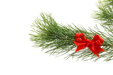 Similar image 1003683