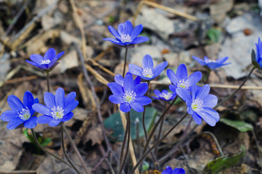 Similar image 1003733