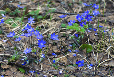 Similar image 1003739