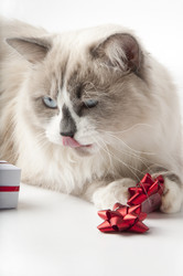 Similar image 1003745