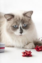 Similar image 1003746