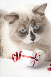 Similar image 1003747