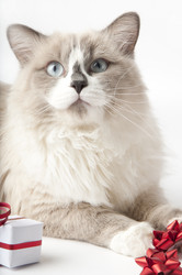 Similar image 1003748