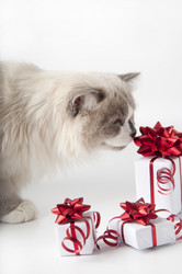 Similar image 1003749