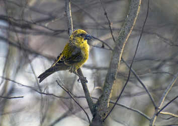 Similar image 1003752