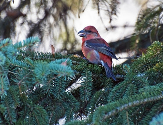 Similar image 1003753