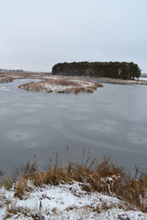 Similar image 1003759