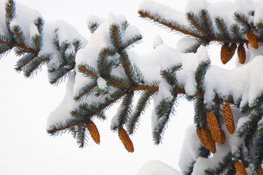 Similar image 1003780