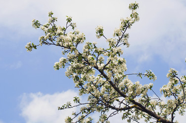 Similar image 1003790