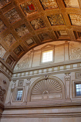 Similar image 1004139