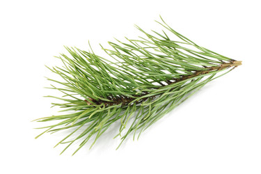 Similar image 1004320