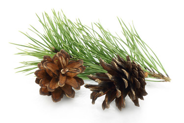 Similar image 1004325