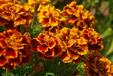 Similar image 1004746