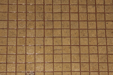 Similar image 1004865